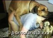 AMO LOS PERROS - Foto 138270