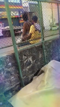 EL SEXO EN LA CALLE DE PARAÍBA LLEGÓ A LA RED