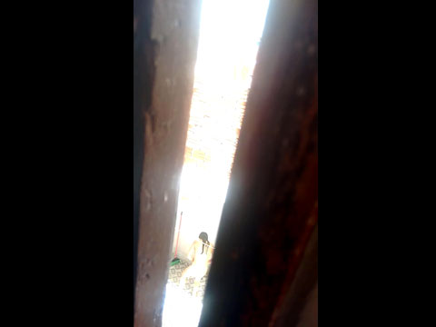 Mi vecina afeitándose en el patio trasero