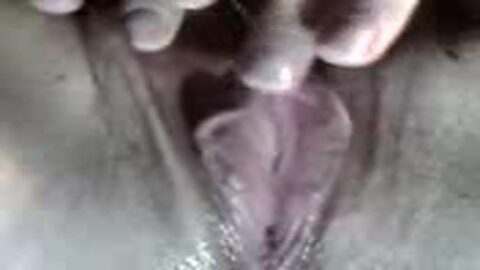 ¿quién lo quiere? solo quiero una gran polla