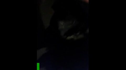 Amigos chupando el pecho de un bebedor travieso