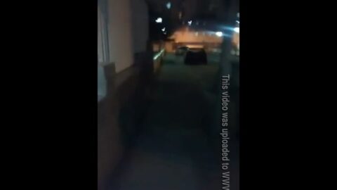 Avistamiento de sexo en plena calle al amanecer llega a Internet