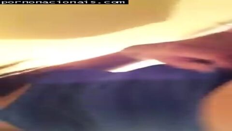 Capota escarabajo nueva