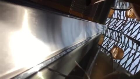 Chica joven con pantalones cortos pillada en el centro comercial