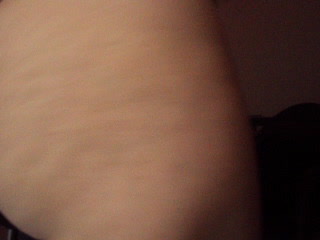 Coroa Rabuda Sambando en el Motel