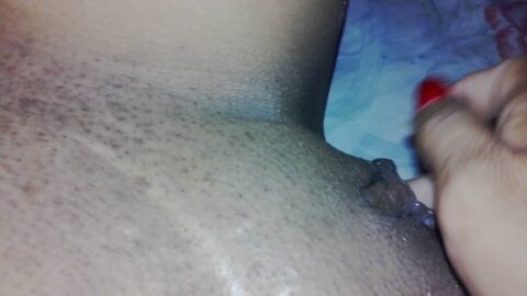 De Belém, un cangrejo a Belém - 01