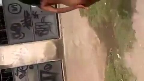 Drogadicto desnudo en plena calle de Río de Janeiro