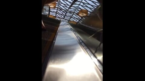 El culo de la joven terminó en el centro comercial escondido