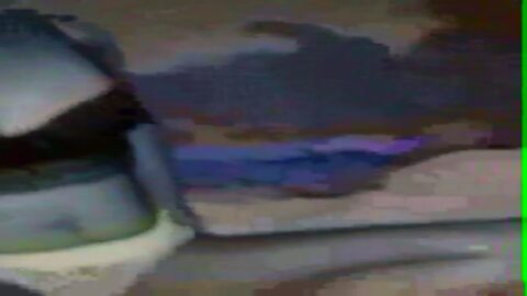 Elayne cayó en Whatsapp