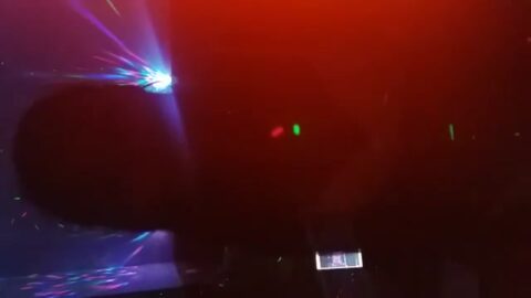 Esther tigresa del bosque alto