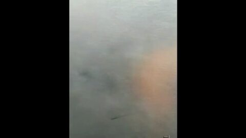 Filmando coño dentro del autobús