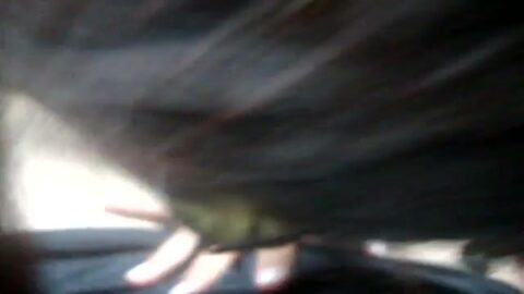 Mamada al cornudo mientras conduce 2