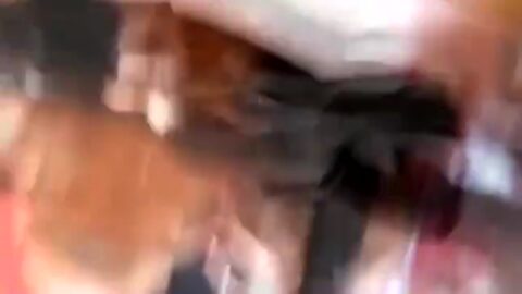 Mickaella Andrade (miihandradee de Meadd)