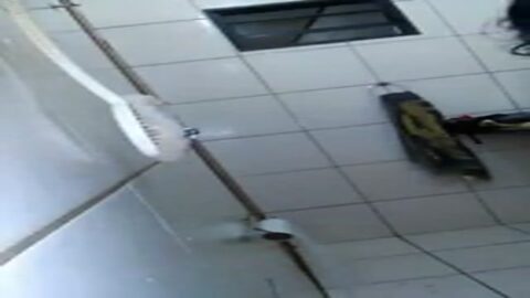 Morena tetona cayó en la red