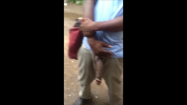 Negro grande mostrando la polla a las zorras