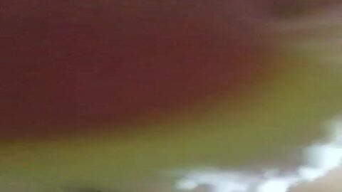 Ninfa traviesa con plug anal se conectó