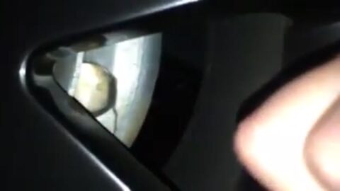 Novio pilló a Mariana haciendo trampa en motel de Cutitiba