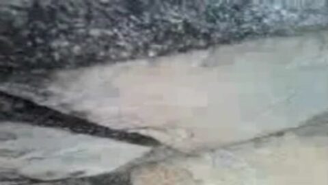 Orgía con 2 flaquitas en la piscina de casa