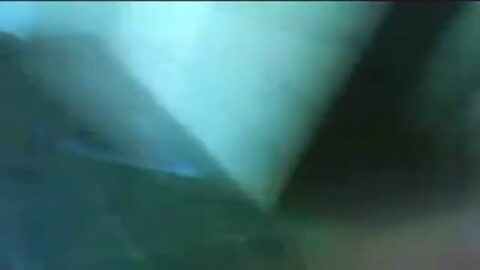 Orgía en casa del gordo