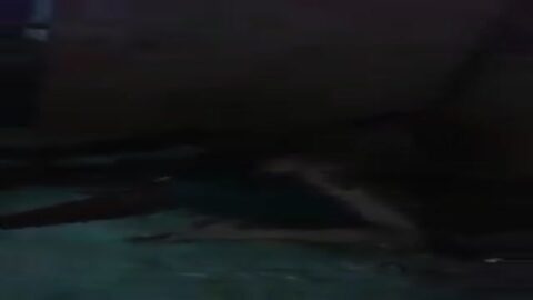 Orgía en la favela con la flaca Branquinha