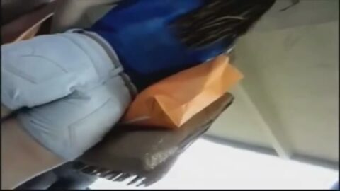 Pantalones cortos todos atrapados en este bombón