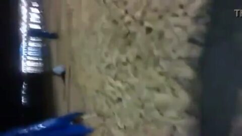 Pareja borracha fue captada teniendo sexo en la playa de Maceió