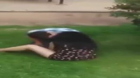 Pilló a su amigo chupándole el coño a la joven en el césped