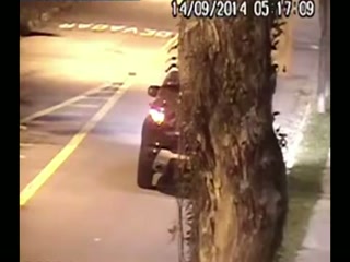 Presunto video de Viviane Araujo teniendo sexo en la calle