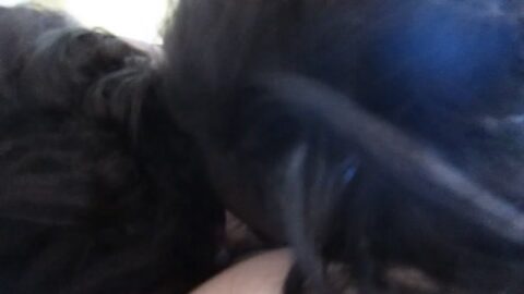 Putas de Belo Horizonte pagando mamada cayeron en la red