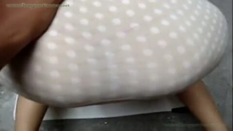 Rapidito en el patio trasero