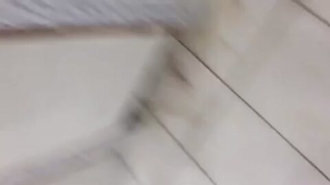 Reventada real en el baño del club