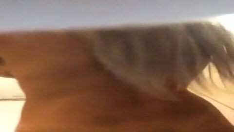 Rubia Caliente 4 En La Cama