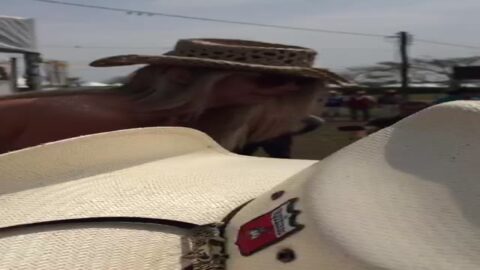 Rubia caliente desnuda en Barretos 2016 - totalsexy.com.br