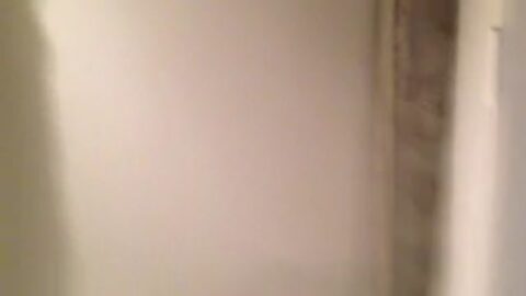 Sexo captado en el baño de la fiesta