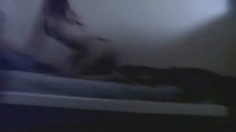 Solo en casa con una prima rubia metiéndose con el bombón