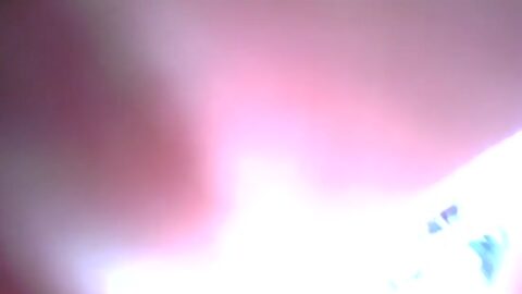 Traviesa pillada en pantalones cortos ajustados en la panadería