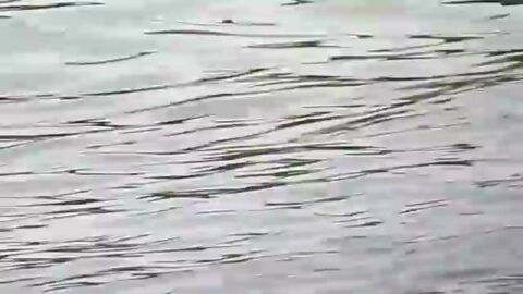 gran culo en la playa