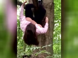 Jane of the jungle